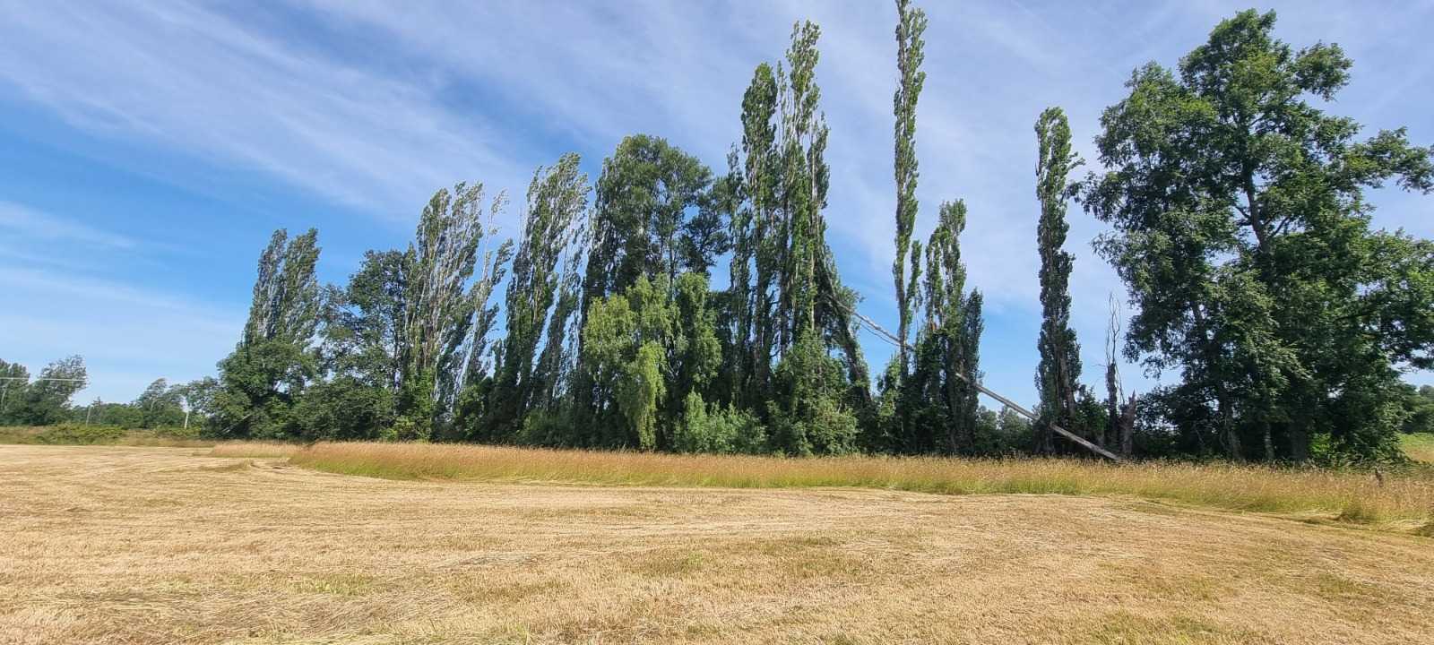 Venta Parcela La Union - Los Ríos