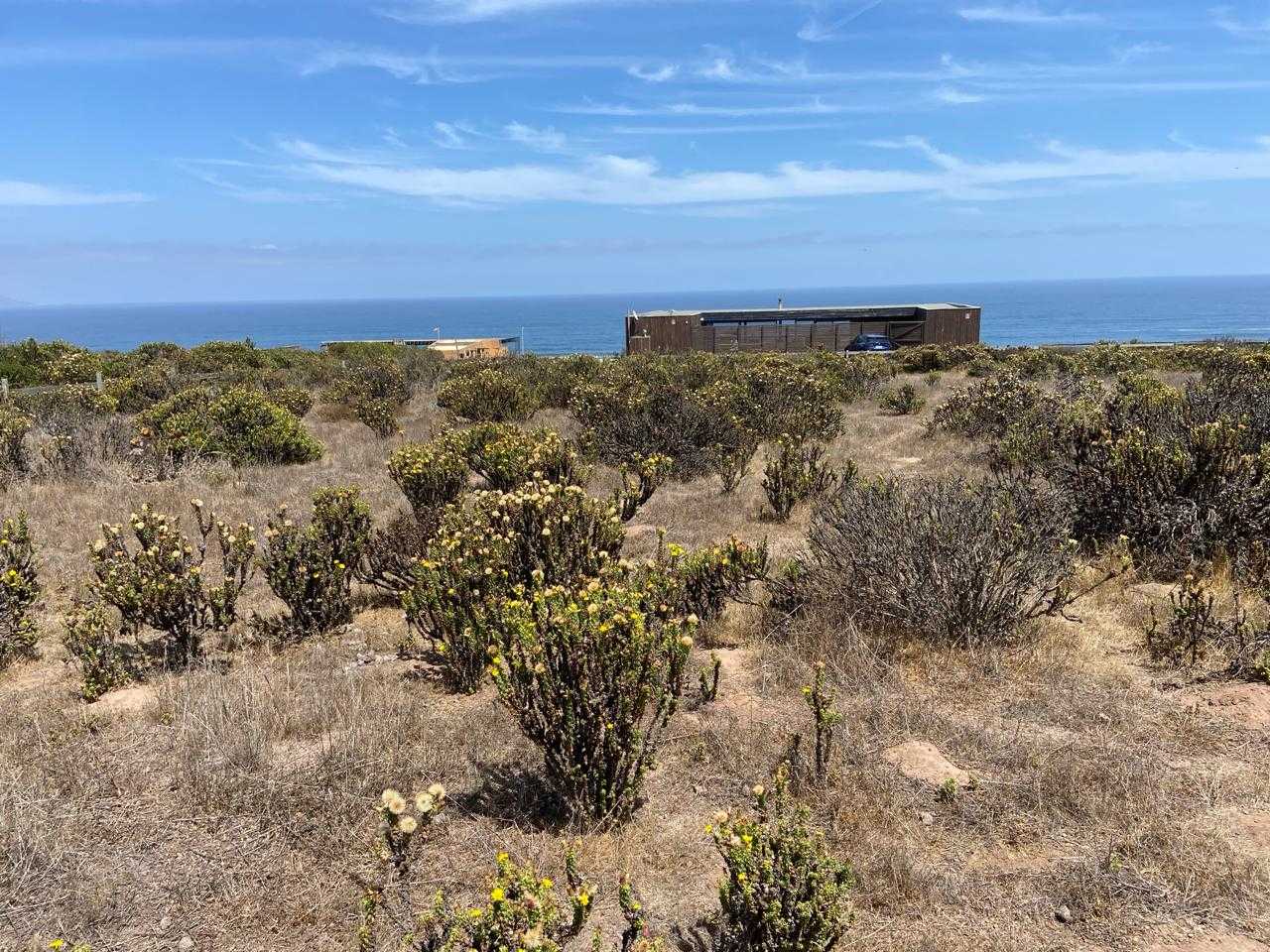 Venta Terreno La Ligua - Valparaíso