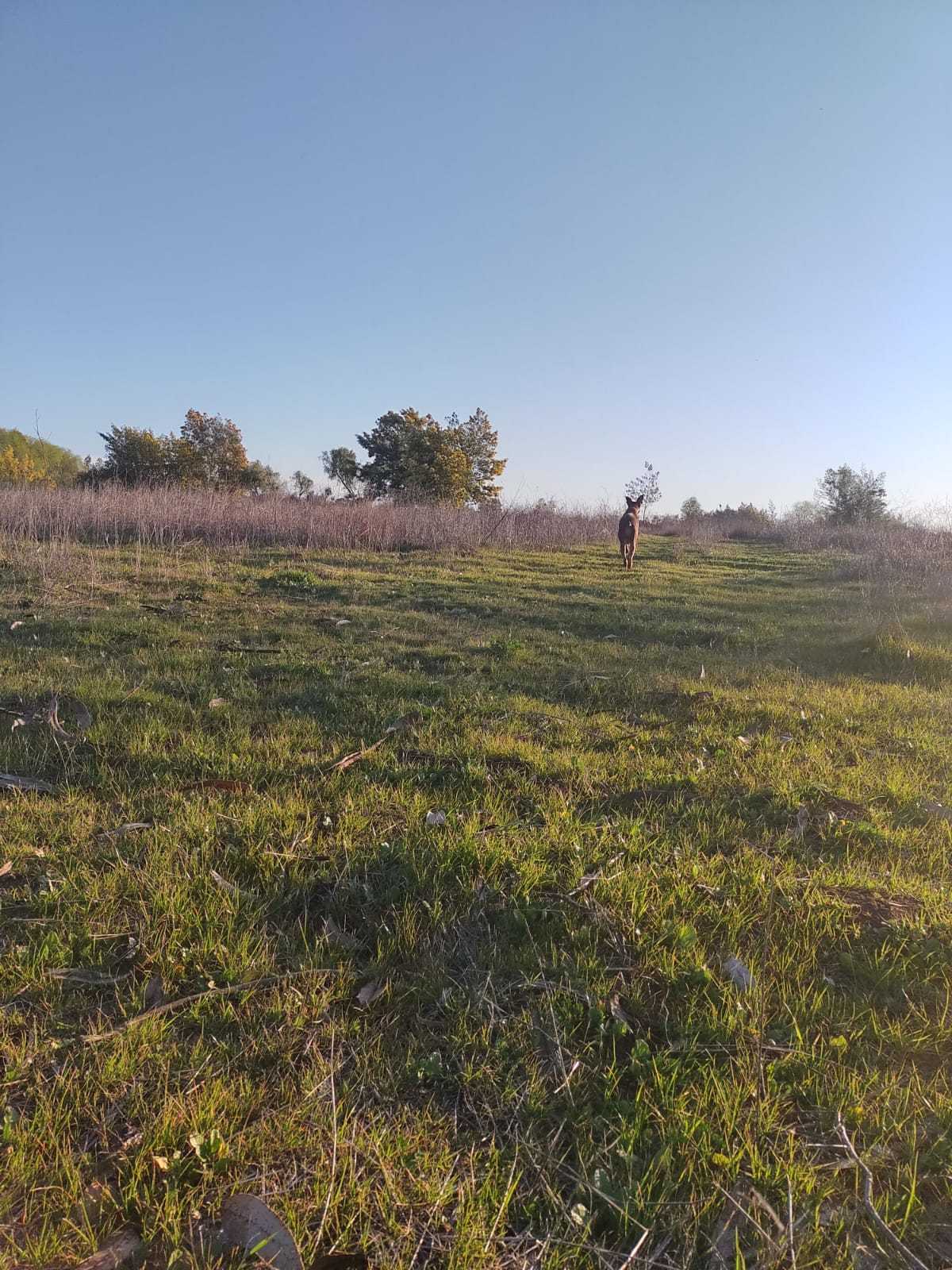 Venta Parcela Talca - Maule