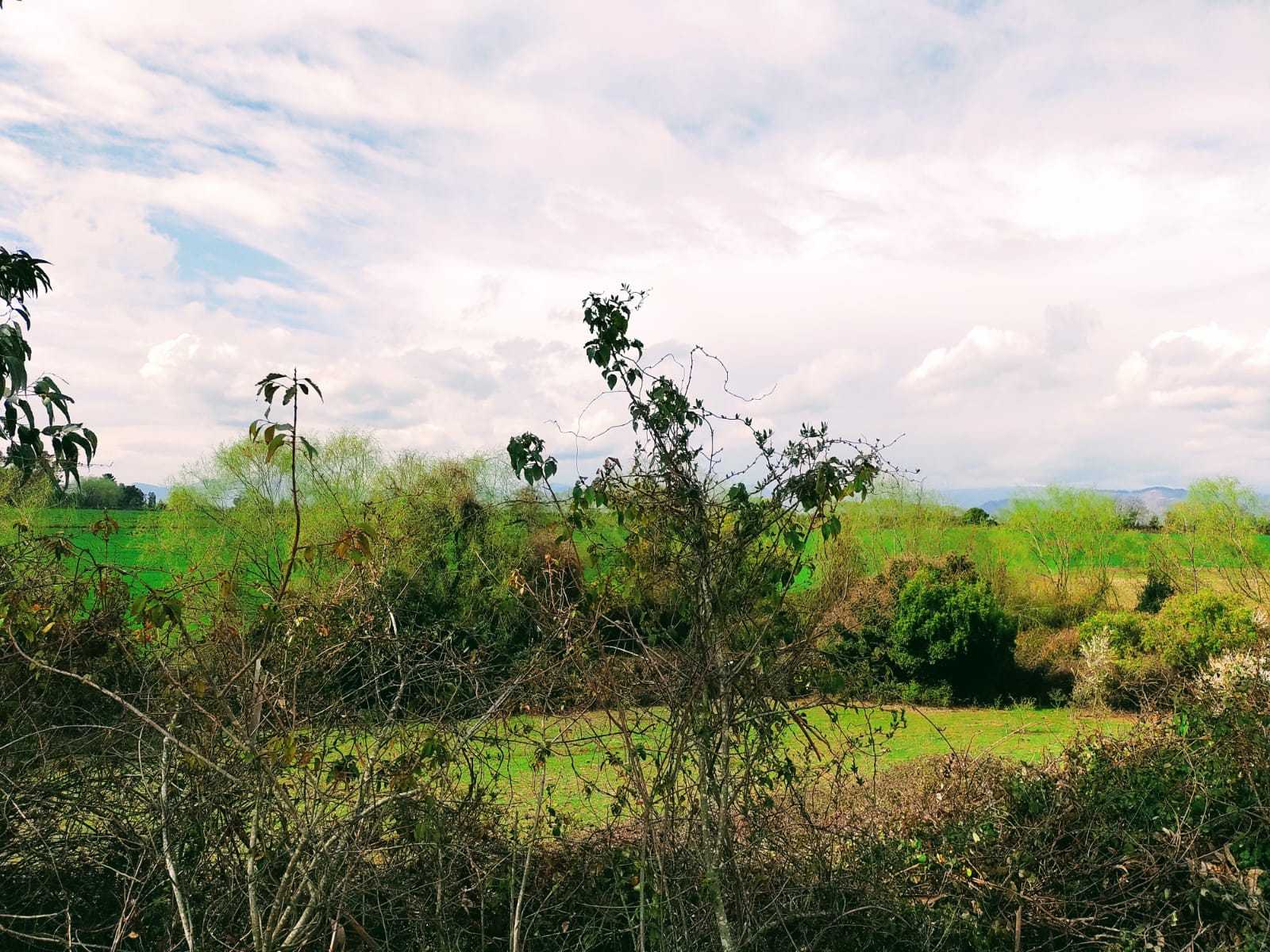 Venta Parcela Talca - Maule