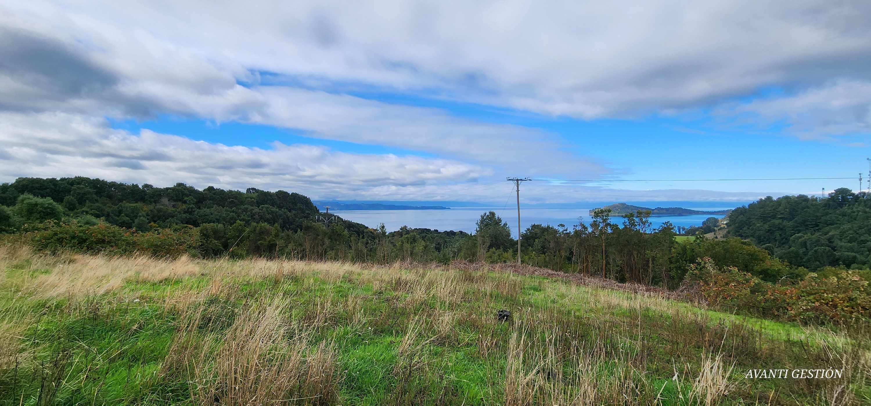 Venta Parcela Puerto Octay - Los Lagos