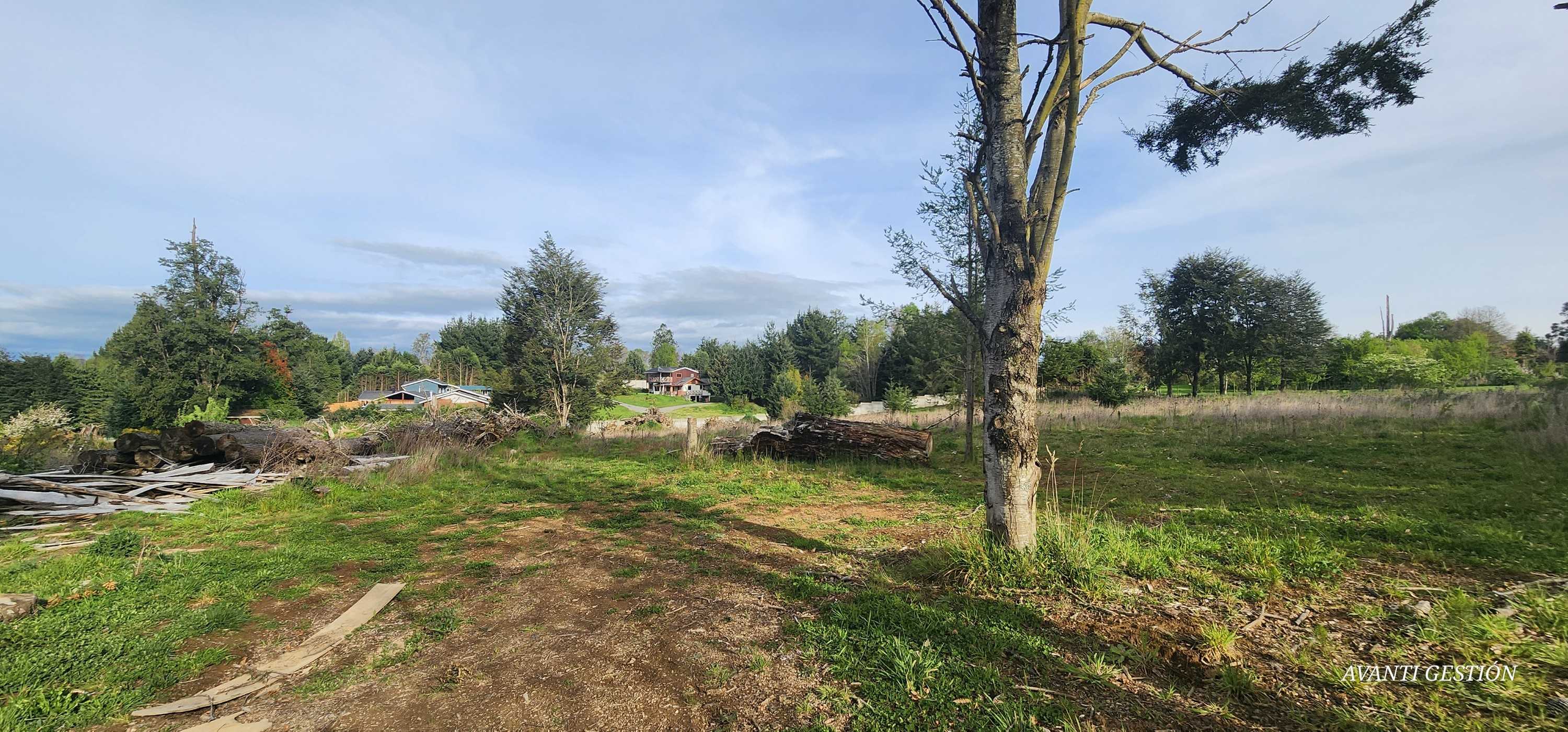 Venta Parcela Osorno - Los Lagos