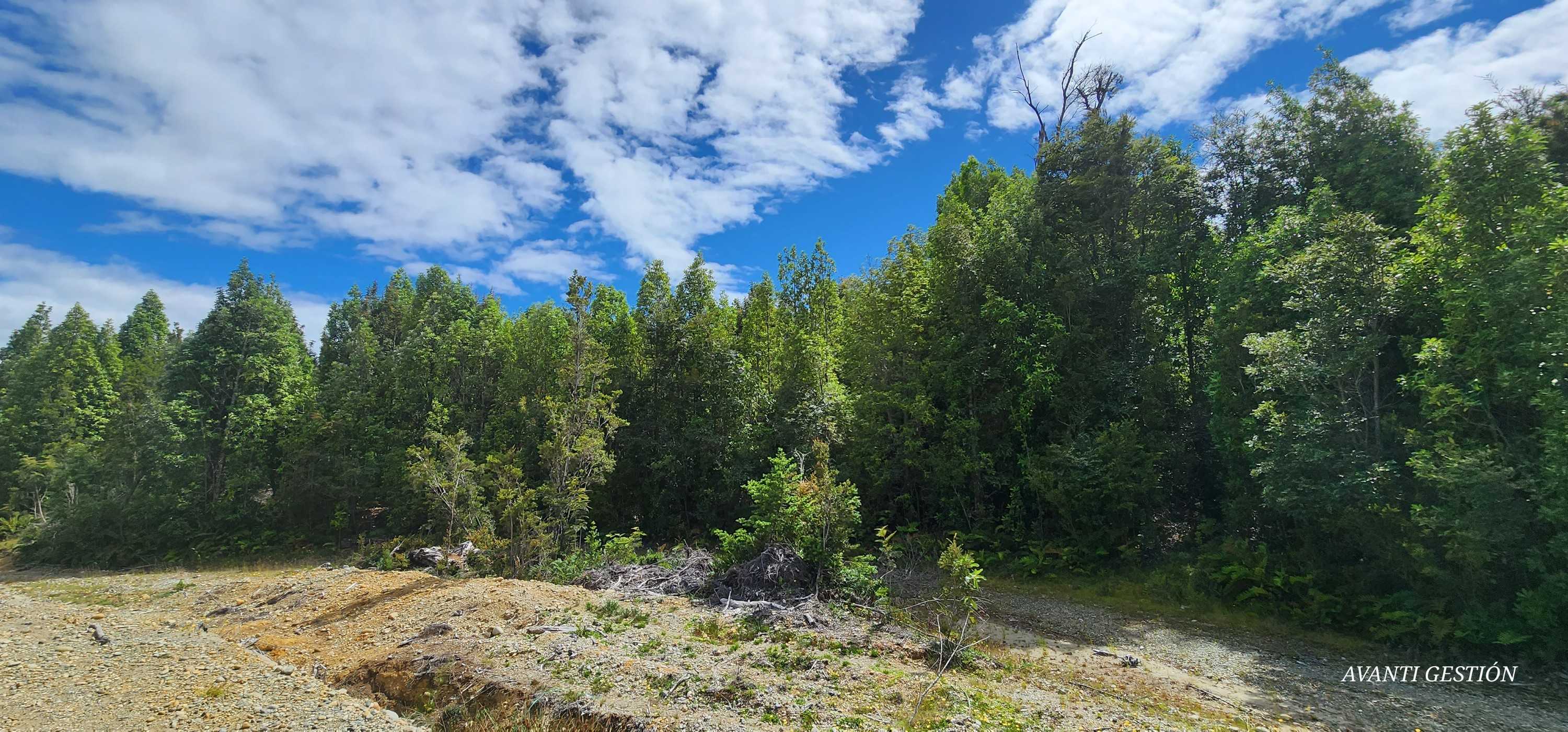 Venta Parcela Puerto Montt - Los Lagos