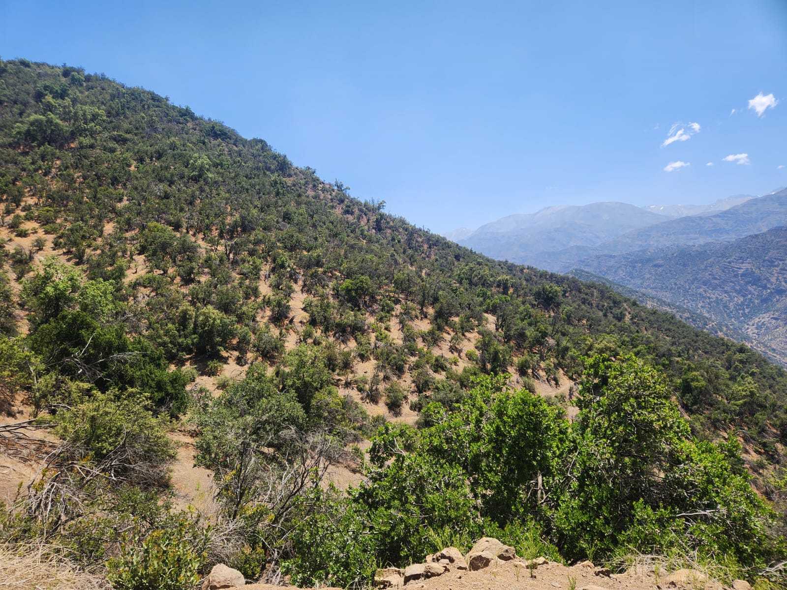 Venta Parcela Lo Barnechea - Región Metropolitana