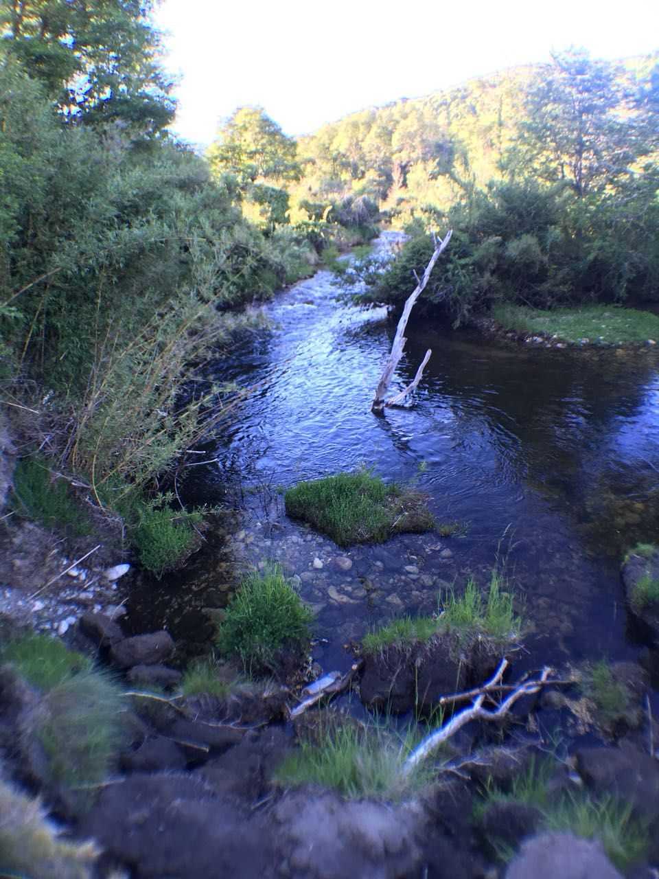 Venta Parcela Angol - La Araucanía