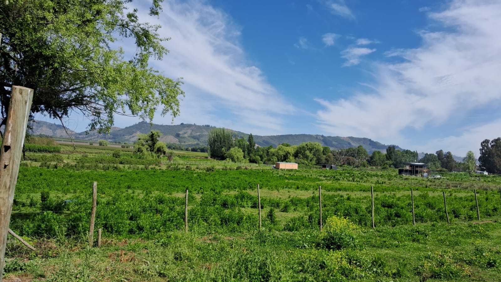 Venta Terreno San Clemente - Maule