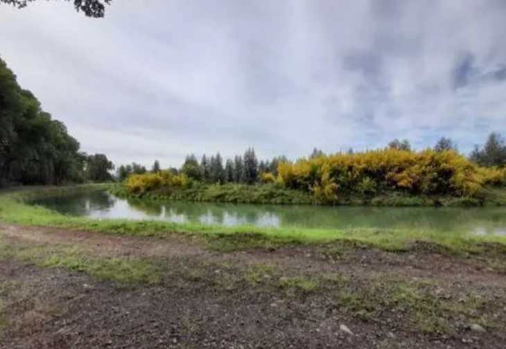 Venta Terreno Mulchén - Biobío