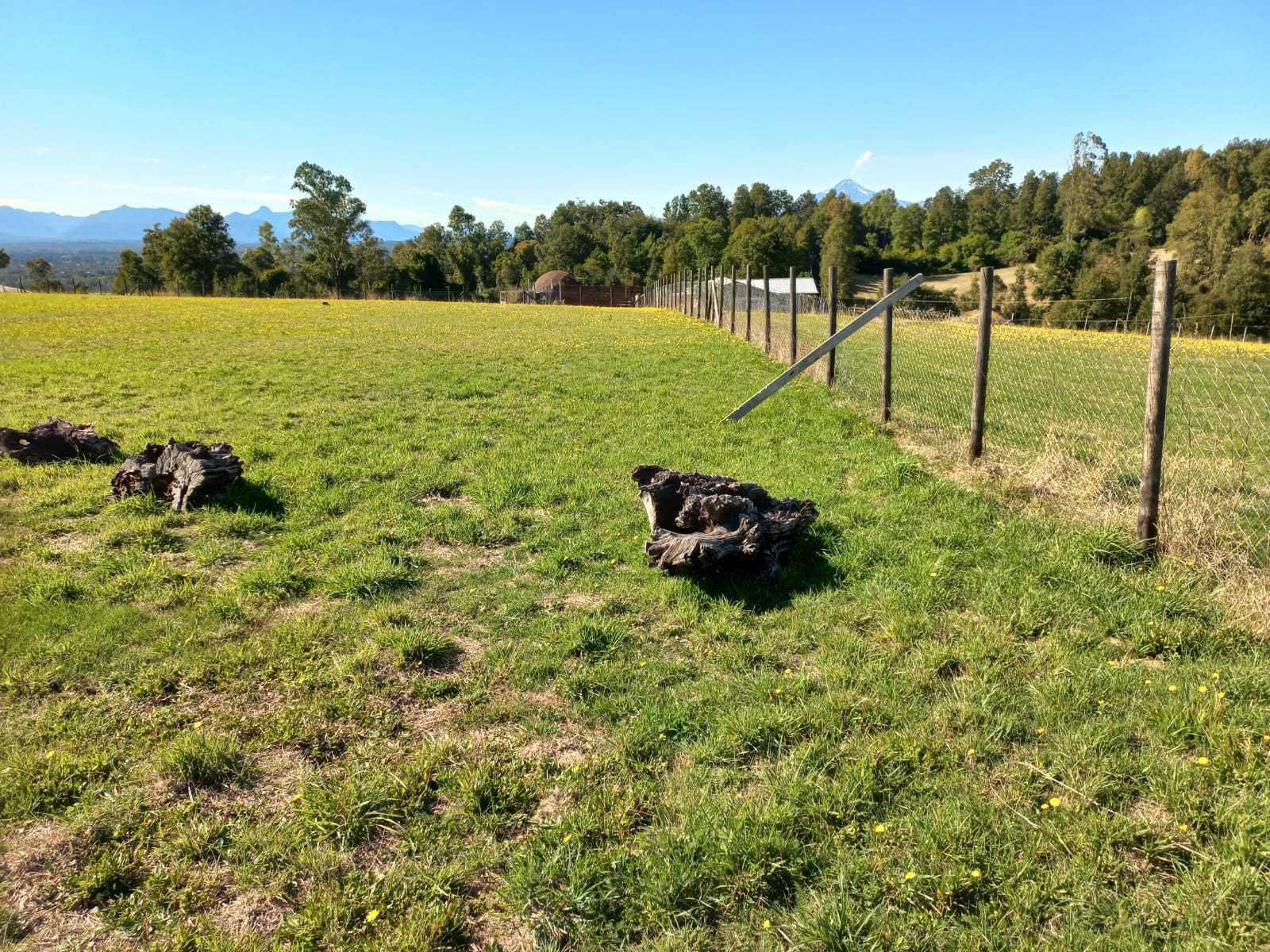 Venta Terreno Pitrufquén - La Araucanía