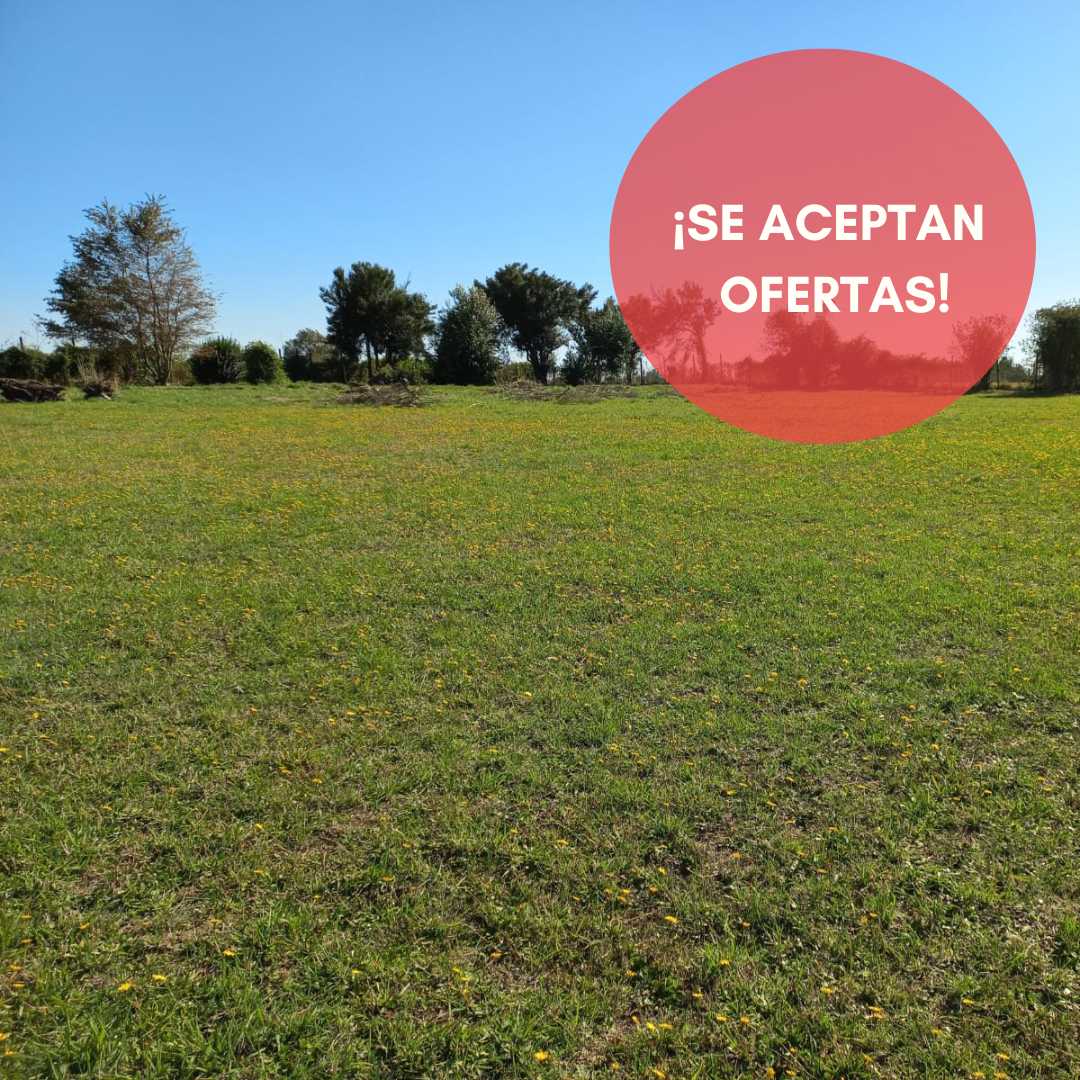 Venta Terreno Pitrufquén - La Araucanía