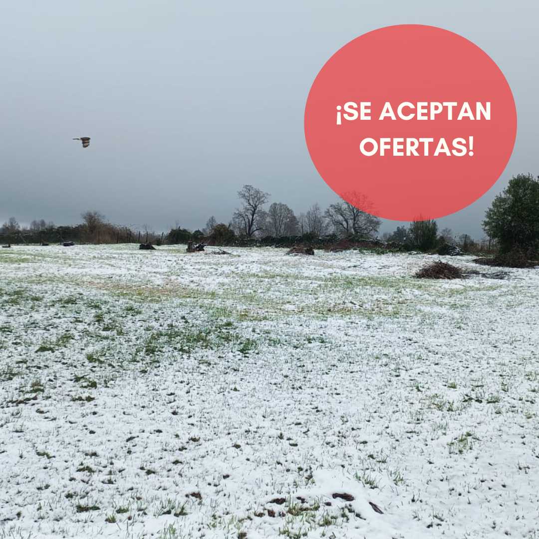 Venta Terreno Pitrufquén - La Araucanía