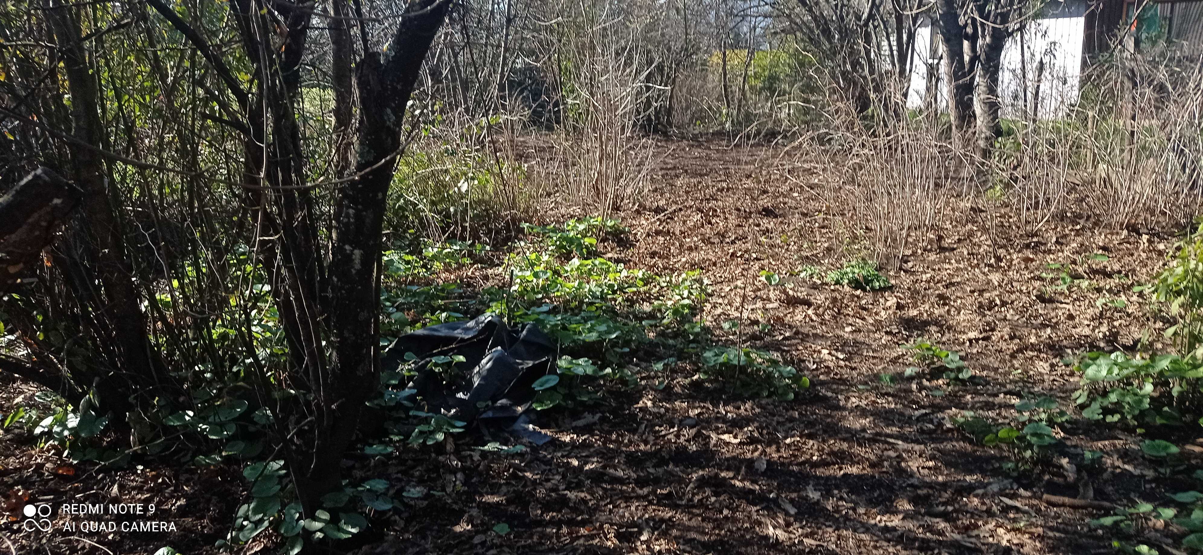 Venta Terreno Panguipulli - Los Ríos