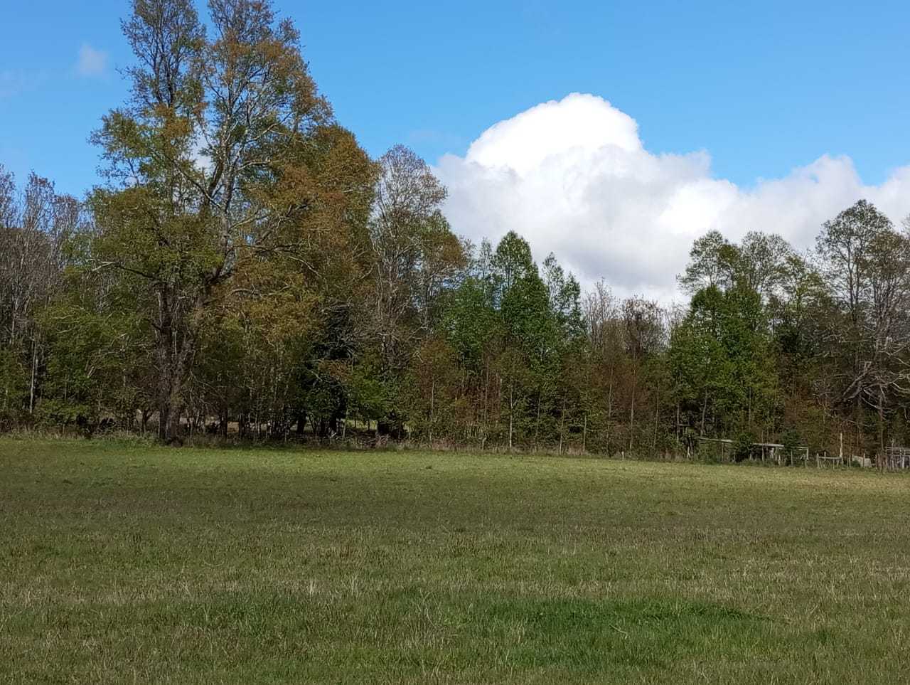 Venta Parcela Panguipulli - Los Ríos