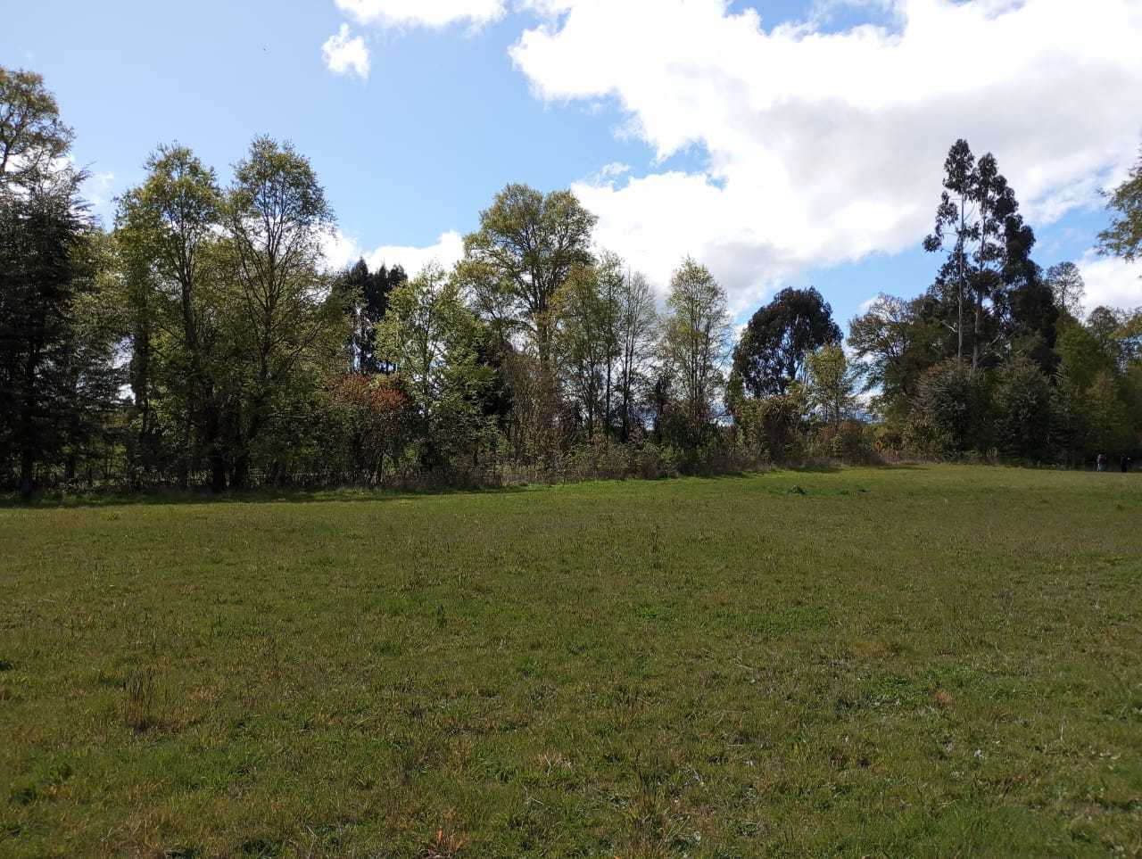 Venta Parcela Panguipulli - Los Ríos