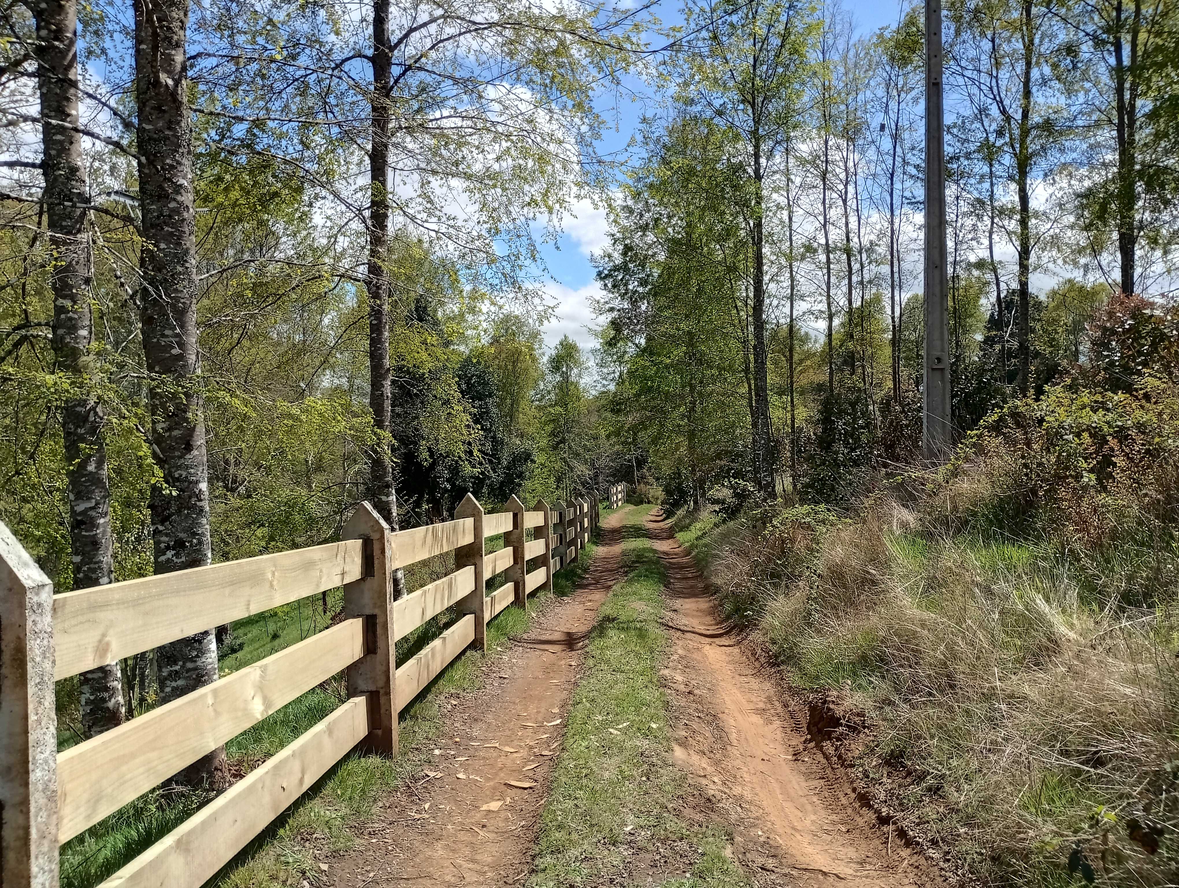 Venta Terreno Panguipulli - Los Ríos