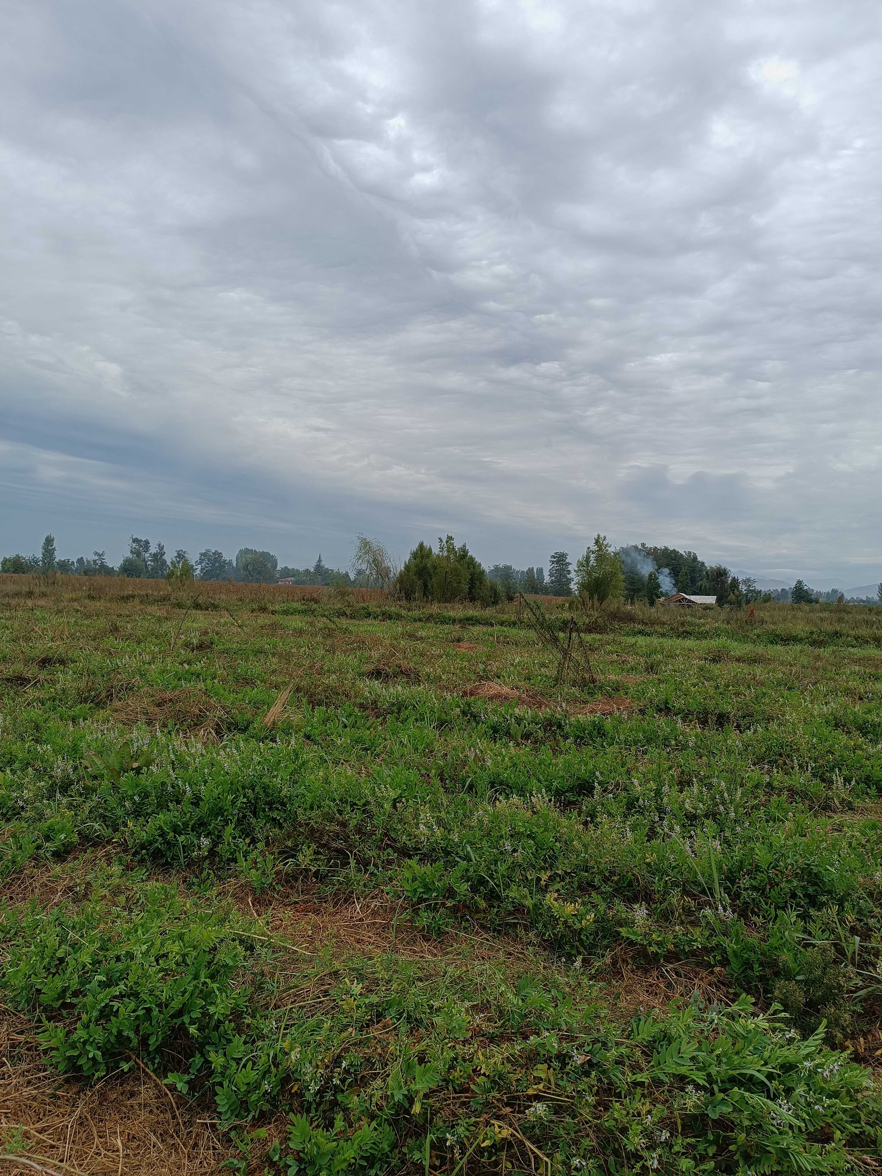 Venta Terreno Coltauco - O'Higgins