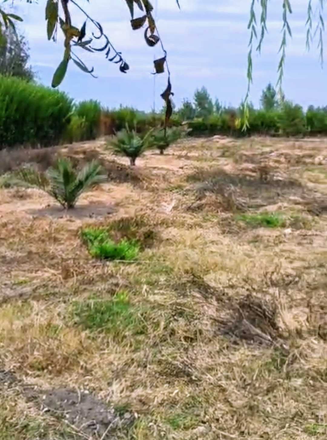 Venta Terreno Coltauco - O'Higgins