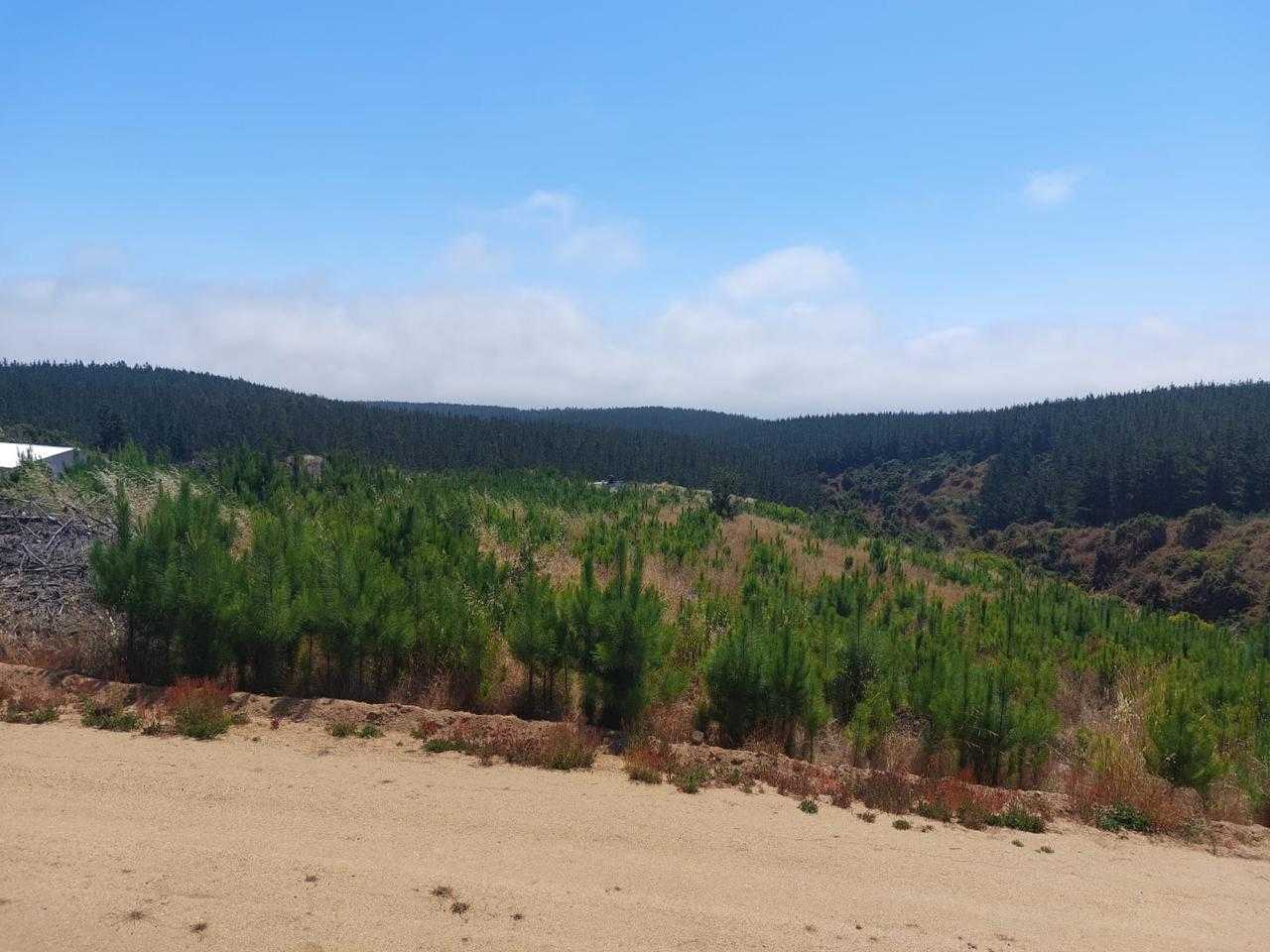 Venta Parcela Pichilemu - O'Higgins