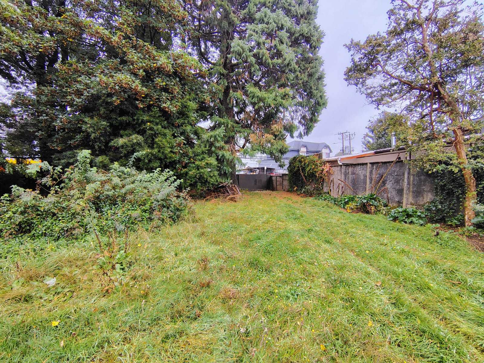 Venta Terreno Valdivia - Los Ríos