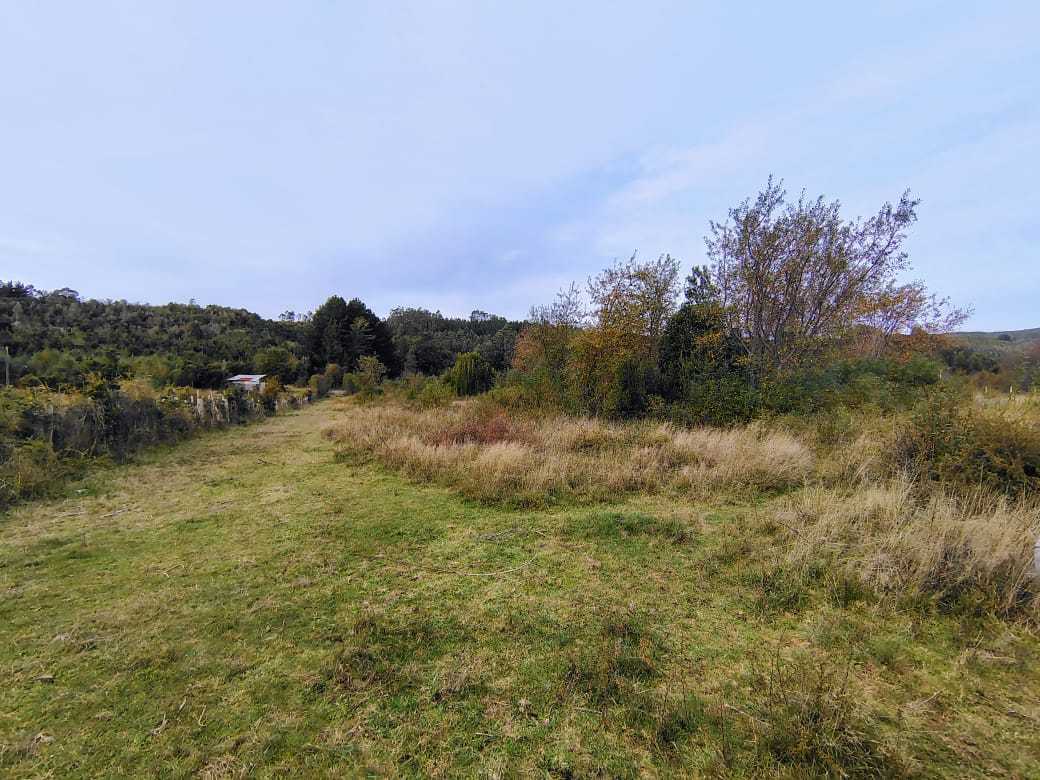 Venta Parcela Valdivia - Los Ríos