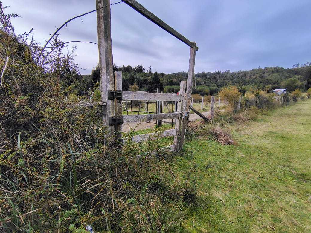 Venta Parcela Valdivia - Los Ríos