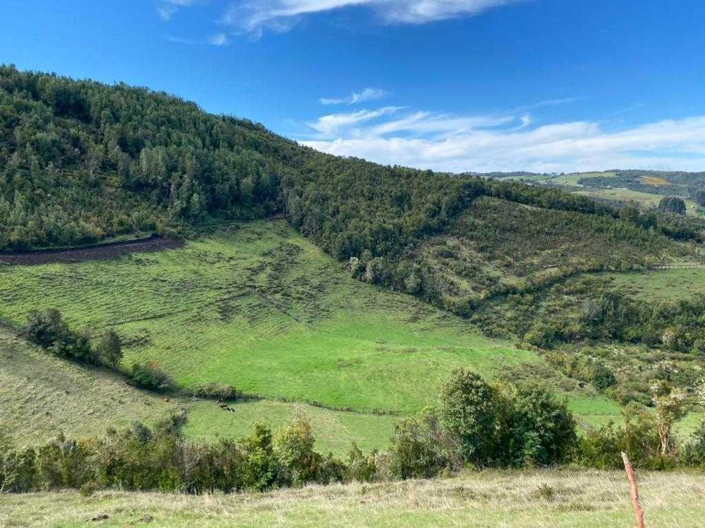 Venta Terreno Dalcahue - Los Lagos