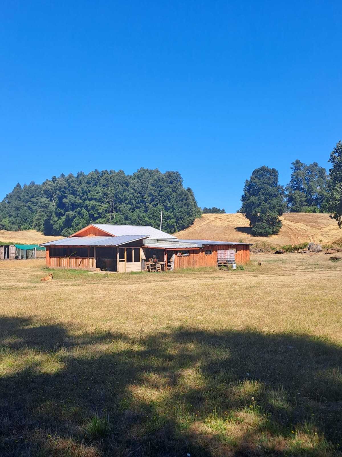 Venta Parcela Cunco - La Araucanía