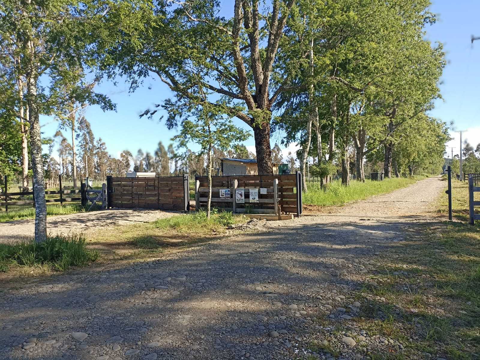 Arriendo Parcela Pitrufquén - La Araucanía