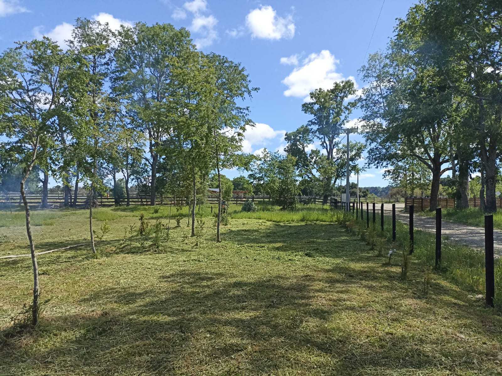 Arriendo Parcela Pitrufquén - La Araucanía