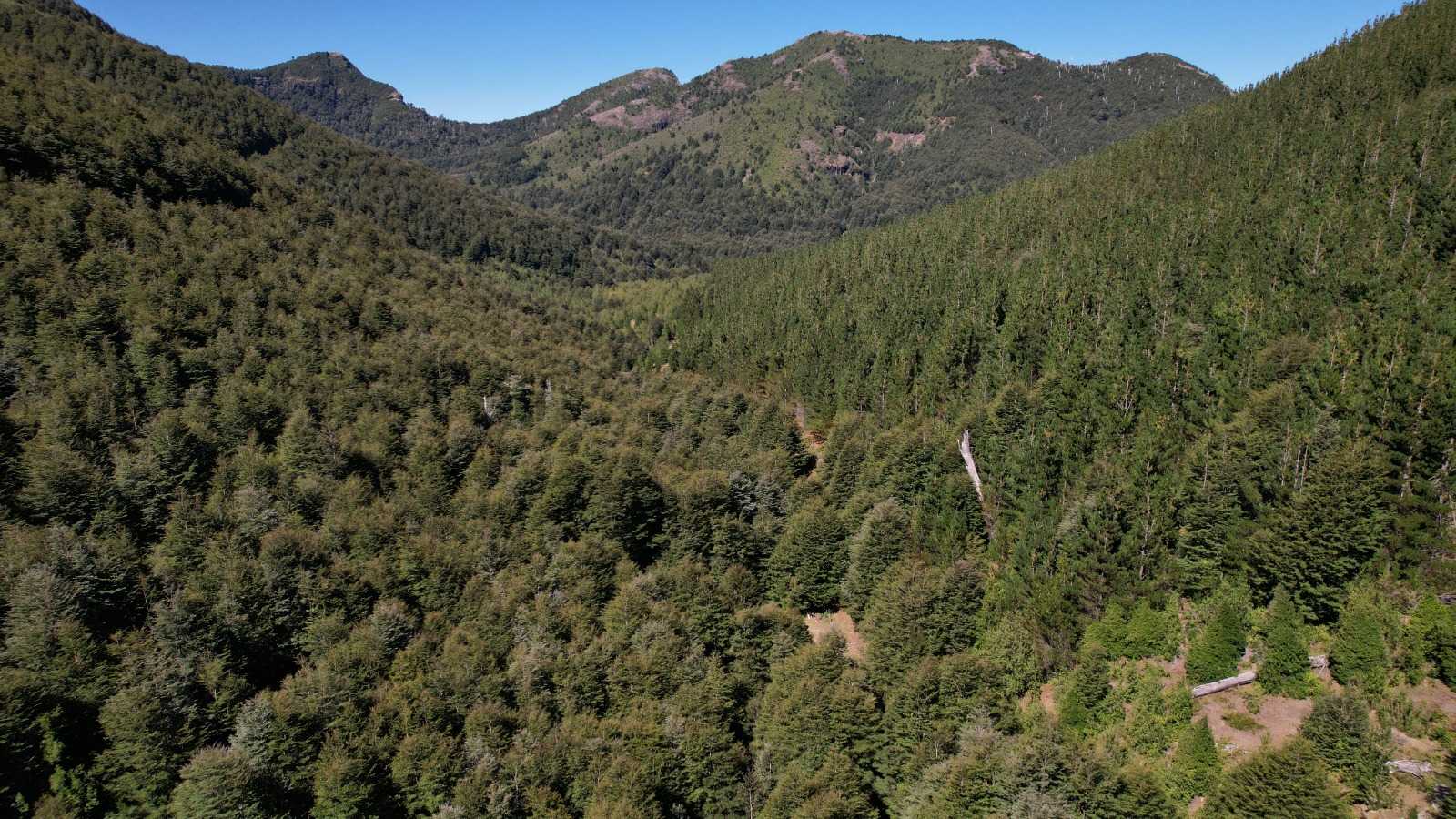 Venta Terreno Cunco - La Araucanía