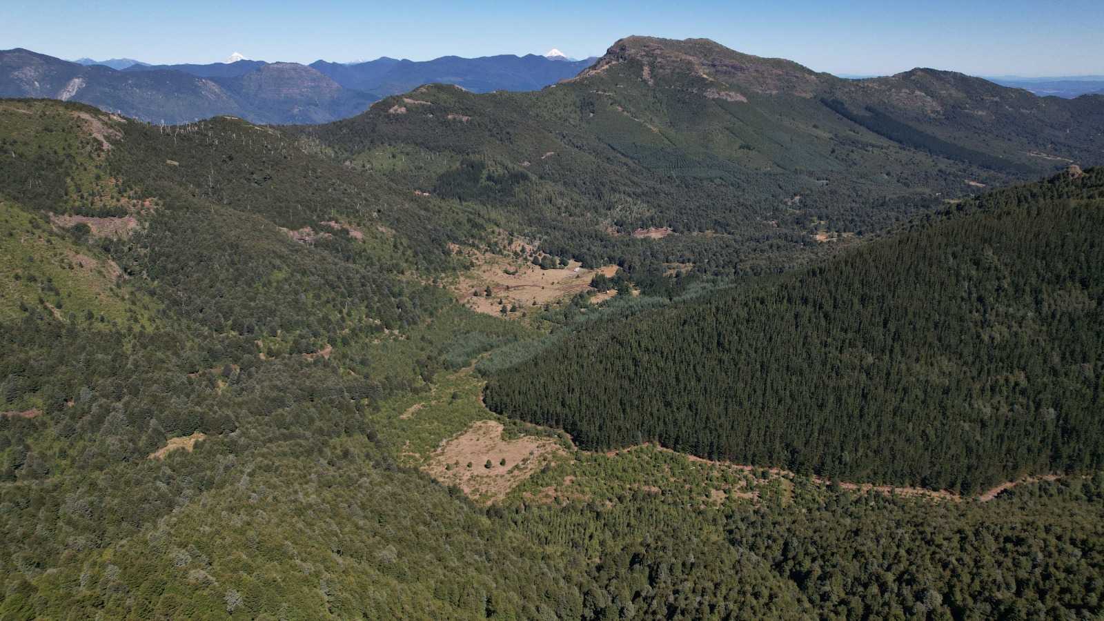 Venta Terreno Cunco - La Araucanía