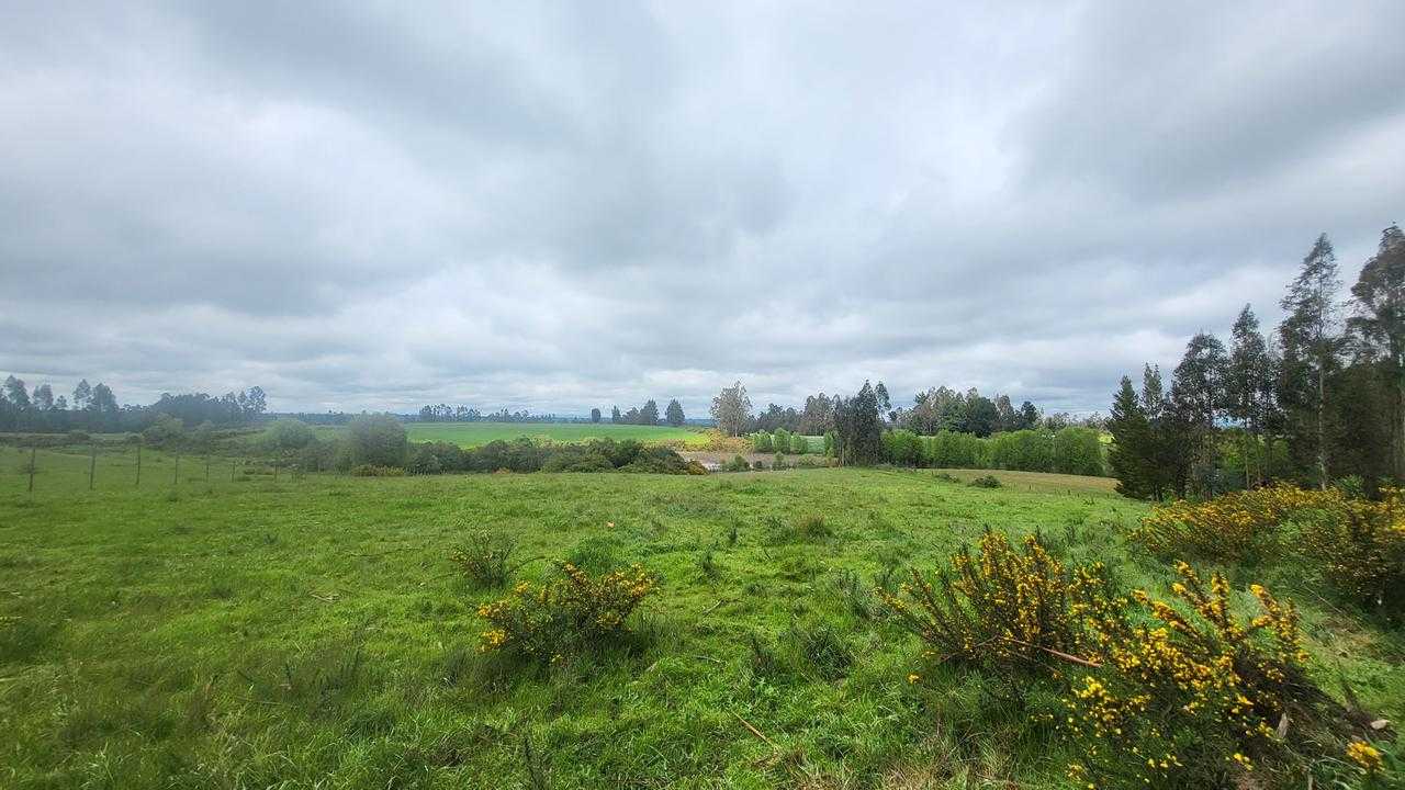 Venta Parcela Temuco - La Araucanía