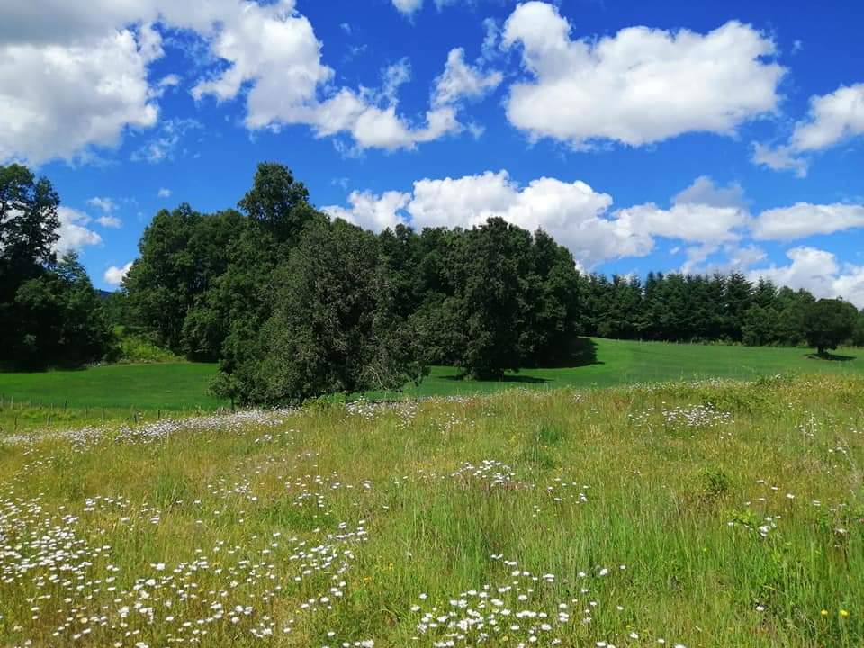 Venta Parcela Villarrica - La Araucanía