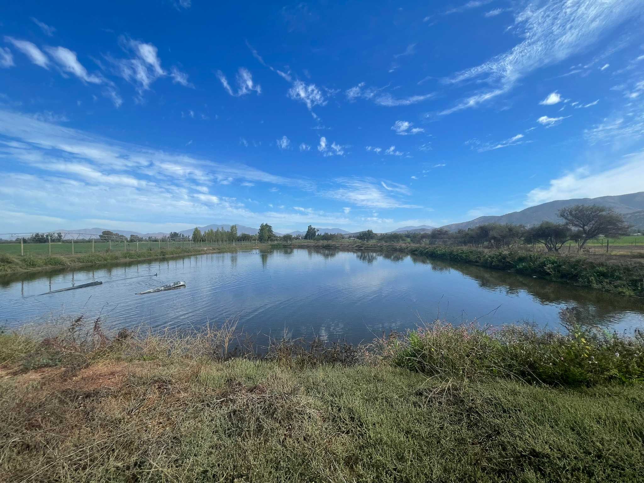 Venta Terreno María Pinto - Región Metropolitana