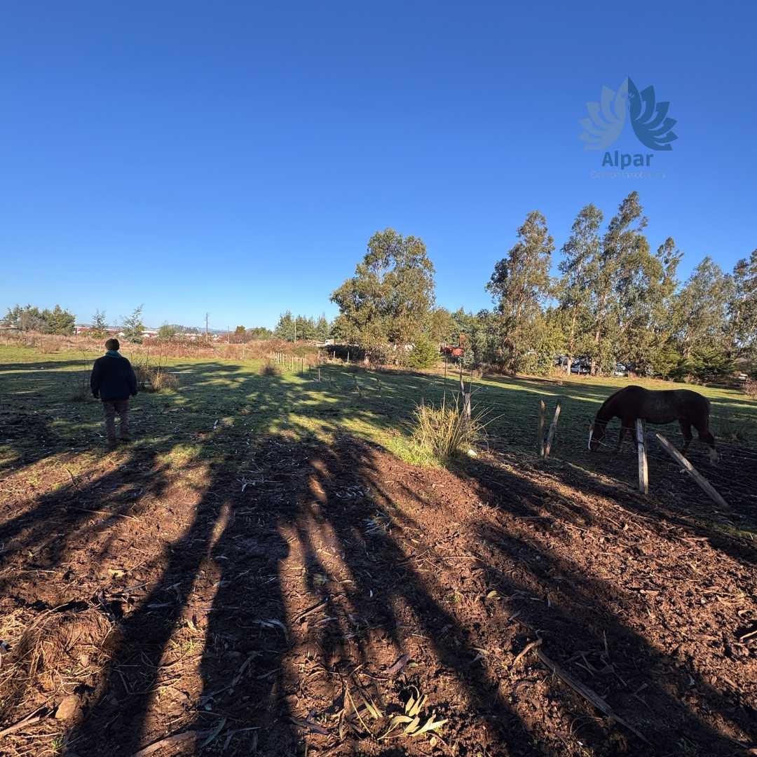 Venta Terreno Collipulli - La Araucanía