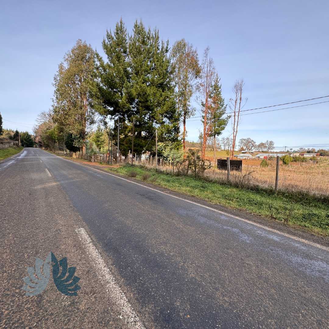 Venta Parcela Collipulli - La Araucanía