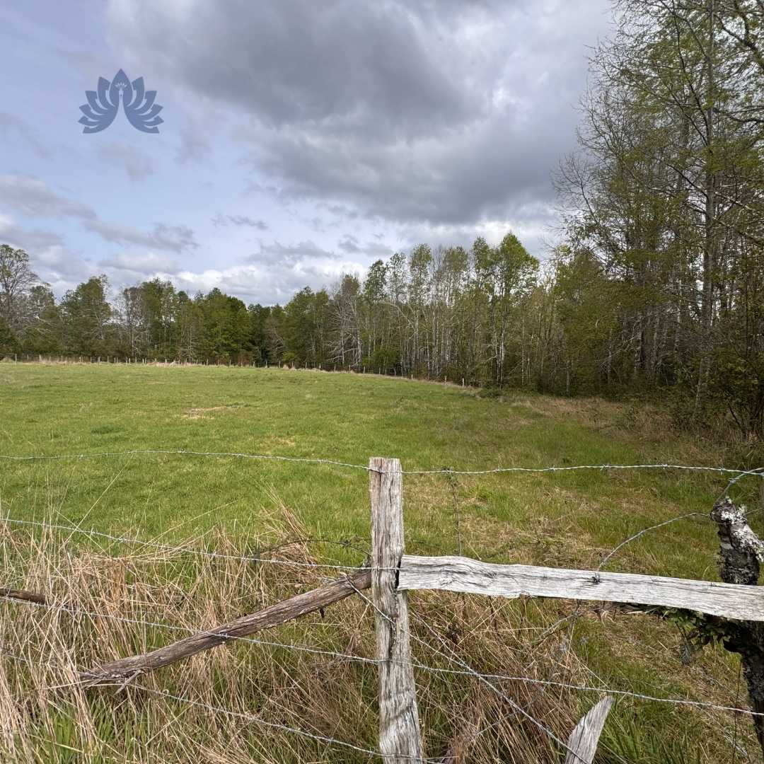 Venta Parcela Gorbea - La Araucanía