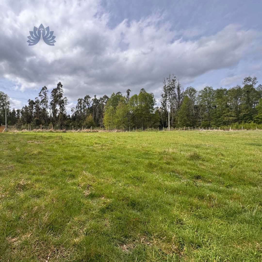 Venta Parcela Gorbea - La Araucanía