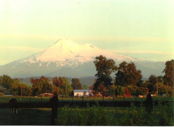 Venta Parcela Vilcún - La Araucanía