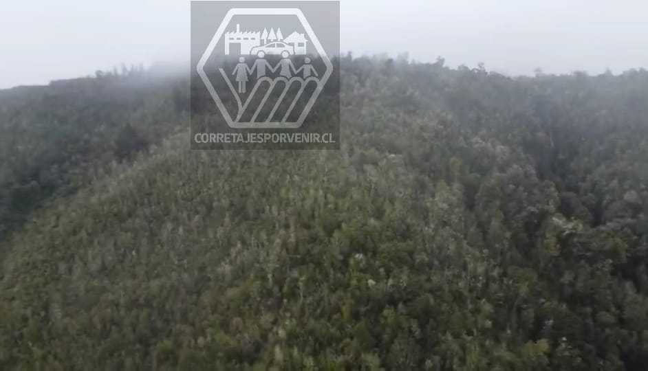 Venta Terreno Saavedra - La Araucanía