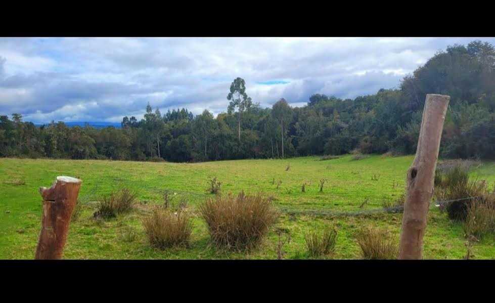 Venta Terreno Puqueldón - Los Lagos
