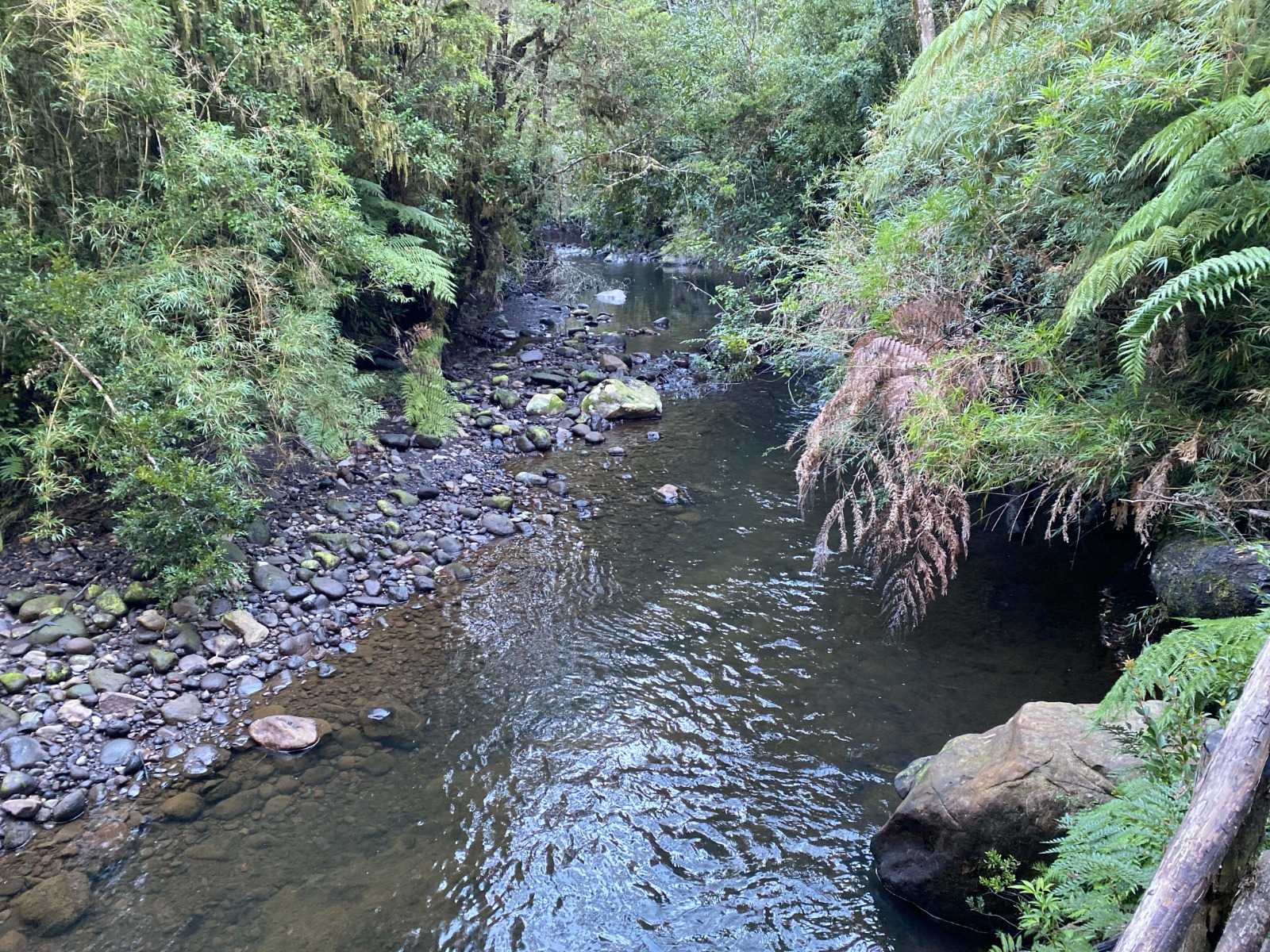 Venta Parcela Puerto Varas - Los Lagos