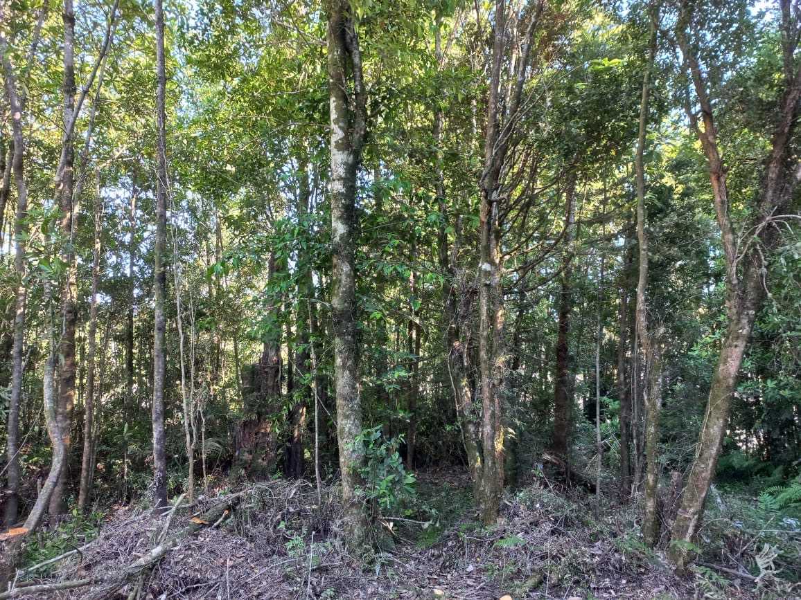 Venta Parcela Puerto Montt - Los Lagos