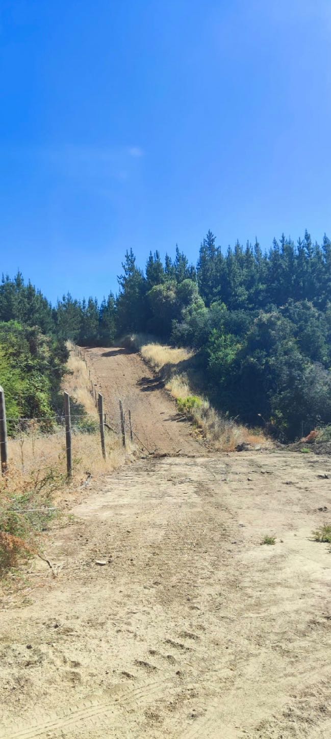 Venta Terreno Chépica - O'Higgins