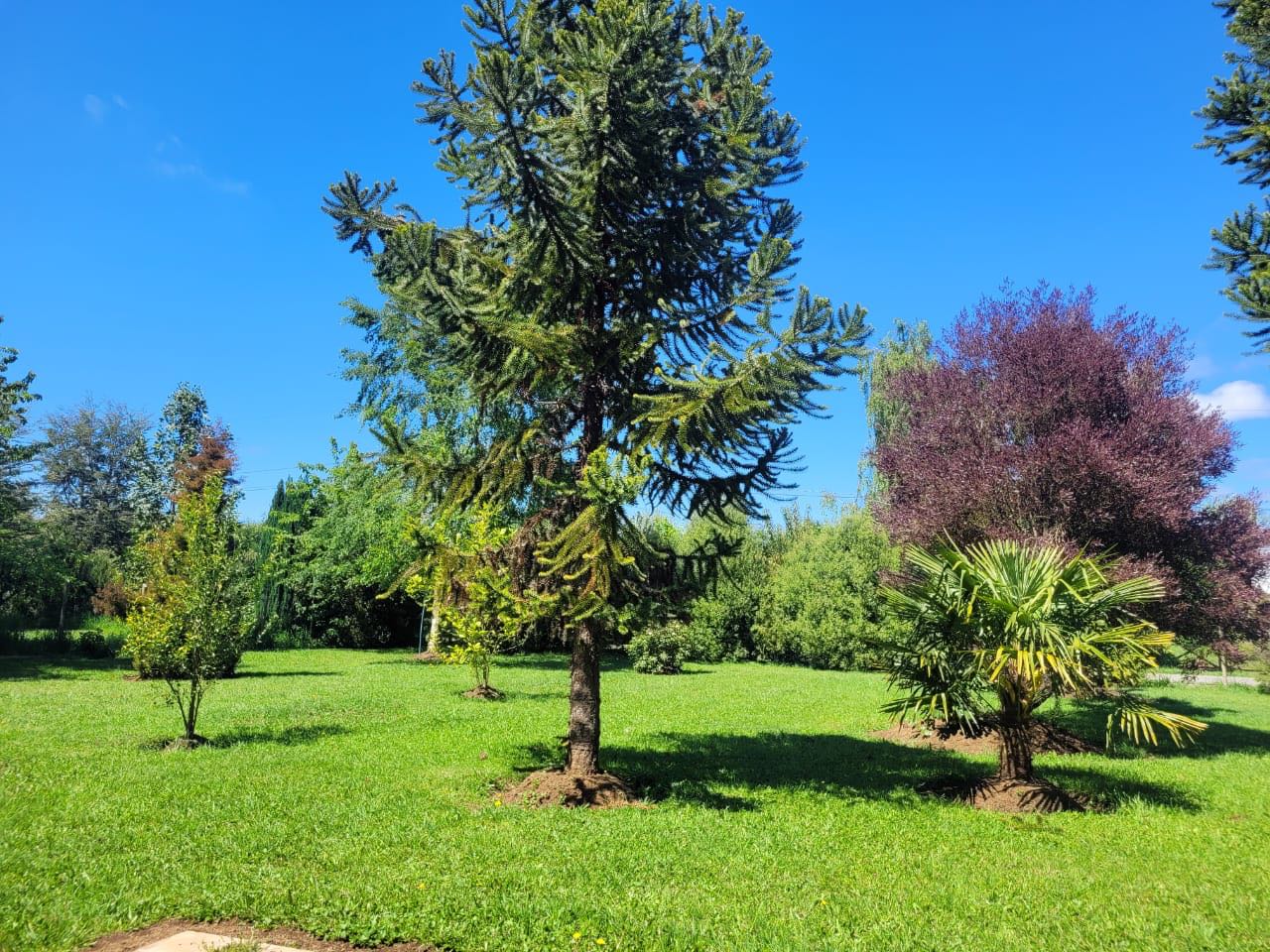 Venta Parcela Padre Las Casas - La Araucanía