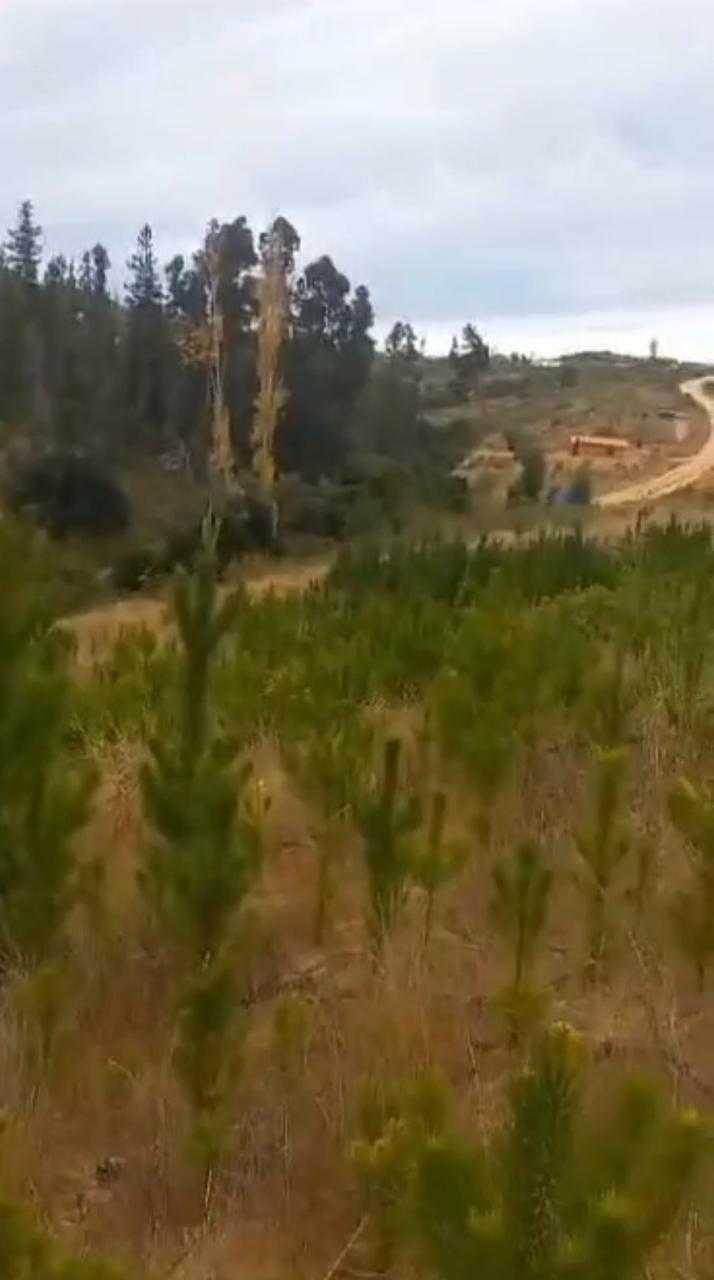 Venta Terreno Paredones - O'Higgins