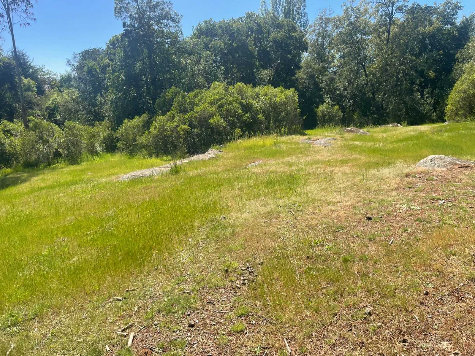 Venta Terreno Parral - Maule