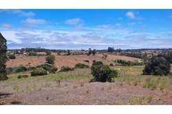 Venta Parcela Algarrobo - Valparaíso