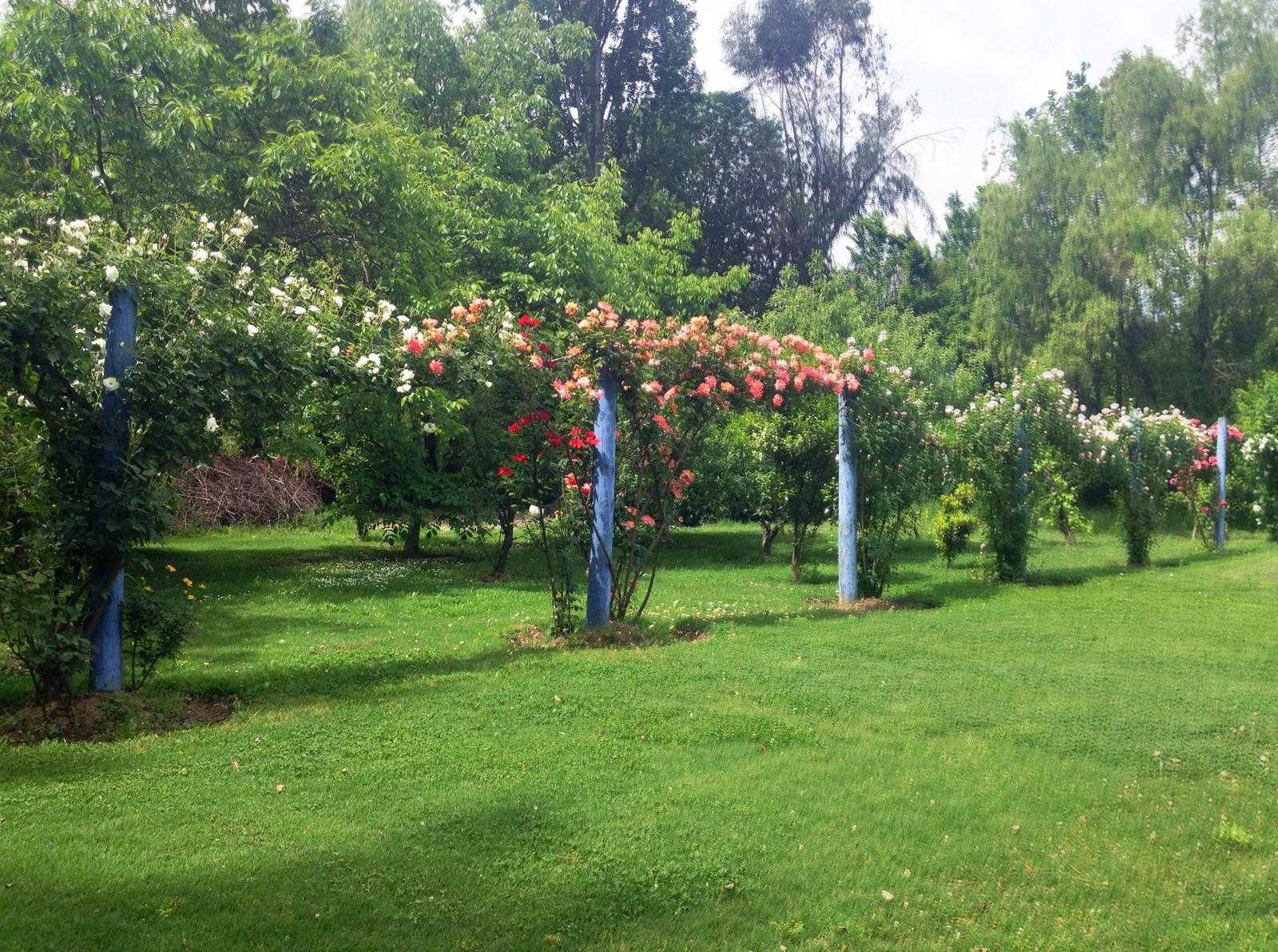 Arriendo Parcela Pirque - Región Metropolitana