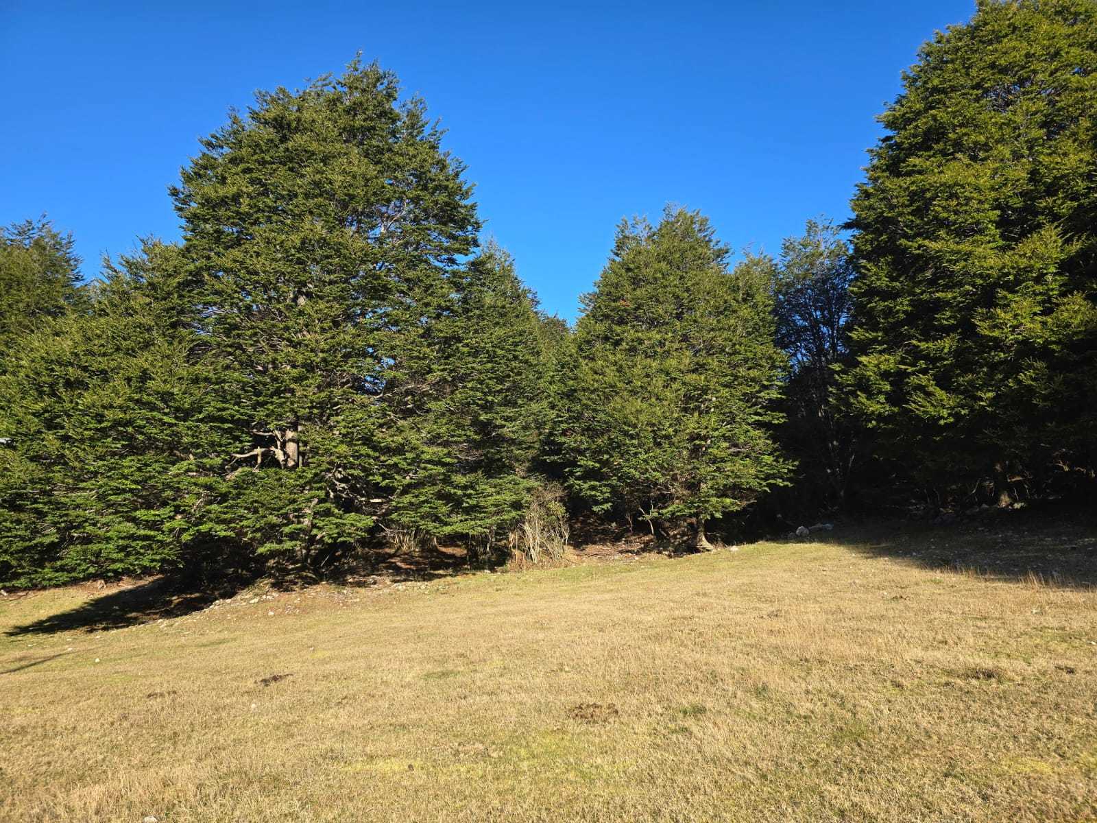 Venta Terreno Aysén - Aysén