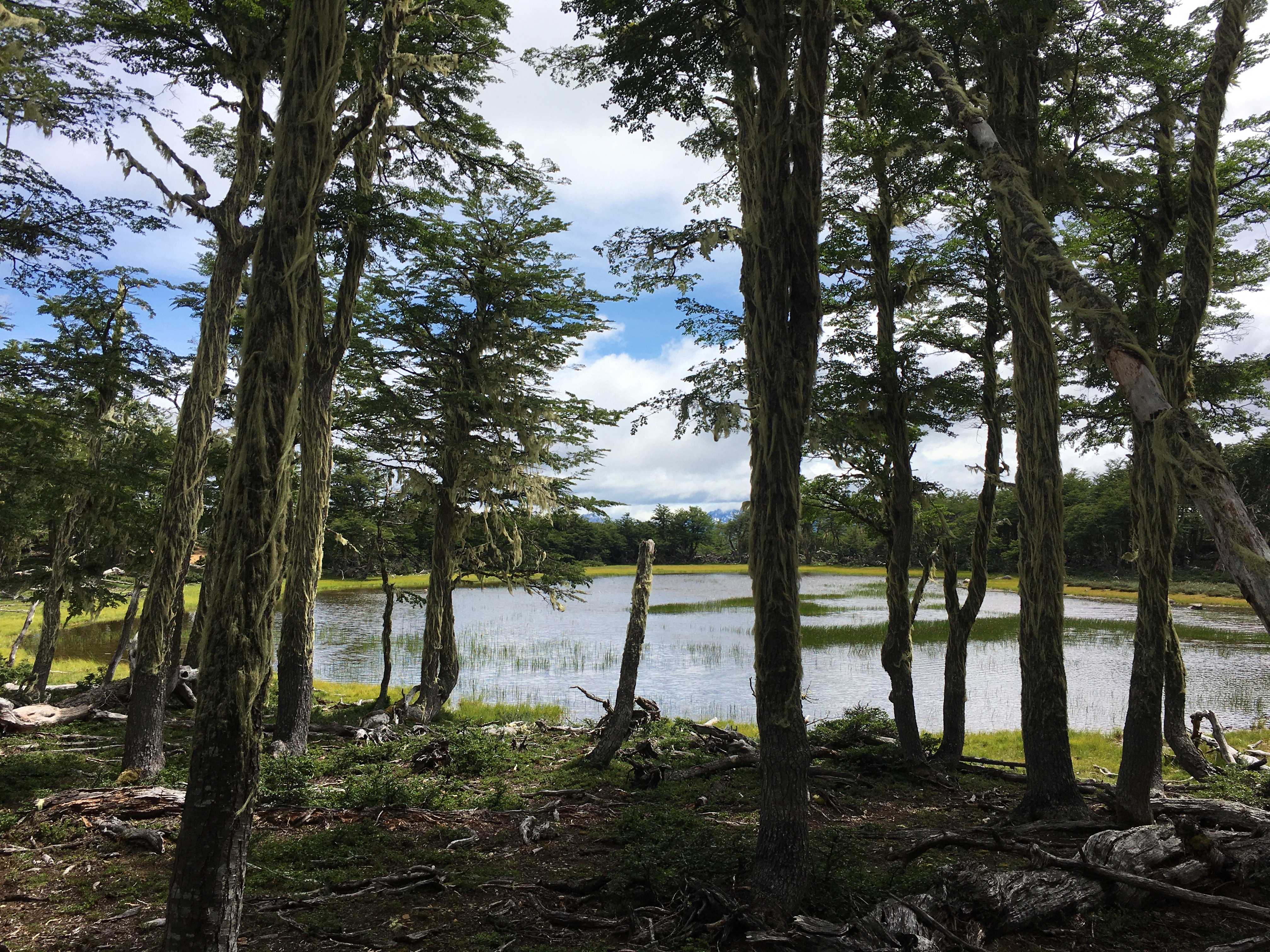 Venta Terreno Lago Verde - Aysén